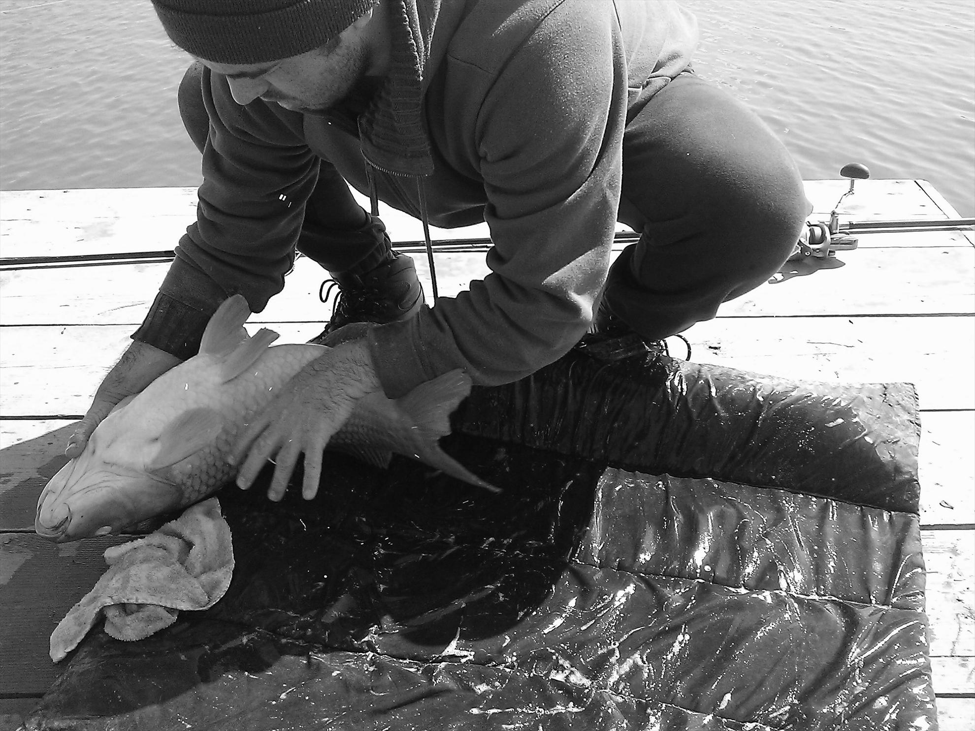 Fa-i poza daca poti... - wp2013032303611.jpg